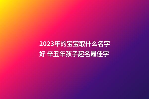 2023年的宝宝取什么名字好 辛丑年孩子起名最佳字